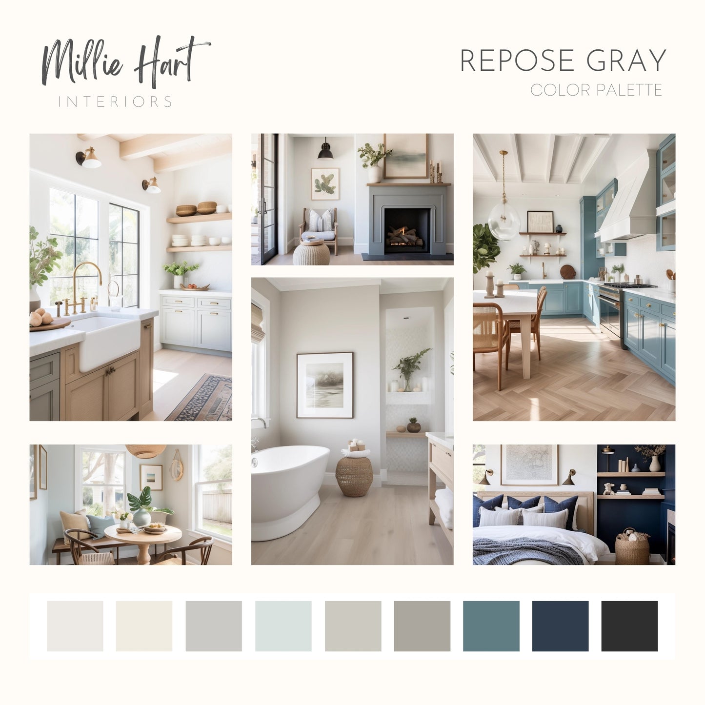Repose Gray Sherwin Williams Paint Palette, Modern Paint Colors for Home, Repose Gray Compliments, Modern Neutrals, Tricorn Black