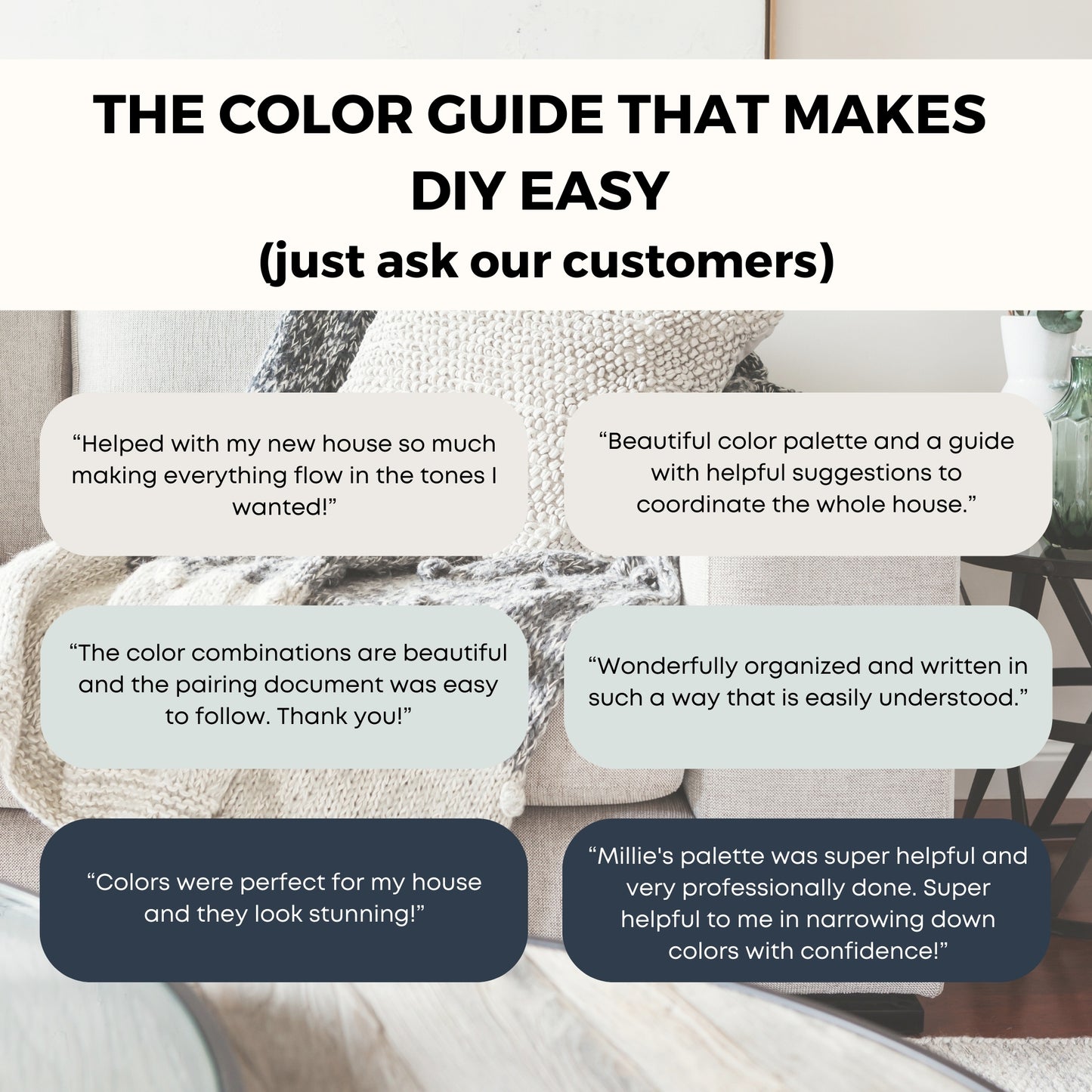 Repose Gray Sherwin Williams Paint Palette, Modern Paint Colors for Home, Repose Gray Compliments, Modern Neutrals, Tricorn Black