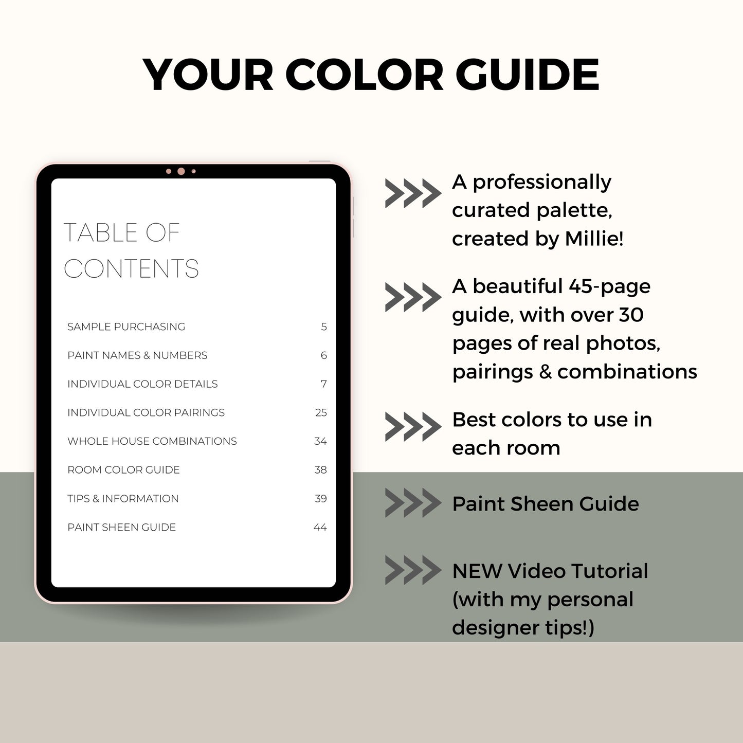 Alabaster Sherwin Williams Paint Palette, Modern Neutral Interior Paint Colors for Home, Alabaster Compliments, Warm Whites, Agreeable Gray