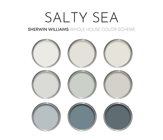 Salty Sea Sherwin Williams Paint Palette, Modern Coastal Interior Paint Colors for Home, Coastal Interior Design Color Palette, Airy Neutrals, Pure White