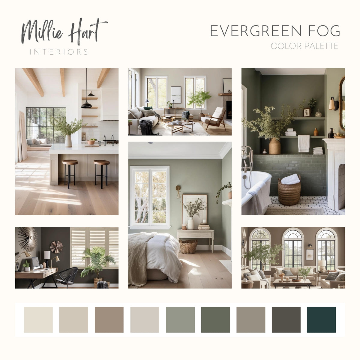 Evergreen Fog Sherwin Williams Paint Palette, Color of the Year Palett ...