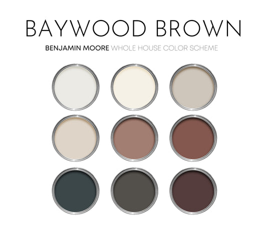 Baywood Brown Benjamin Moore Paint Palette, Neutral Interior Paint Colors, Earthy Color Scheme, Salamander Compliments, Warm Neutrals