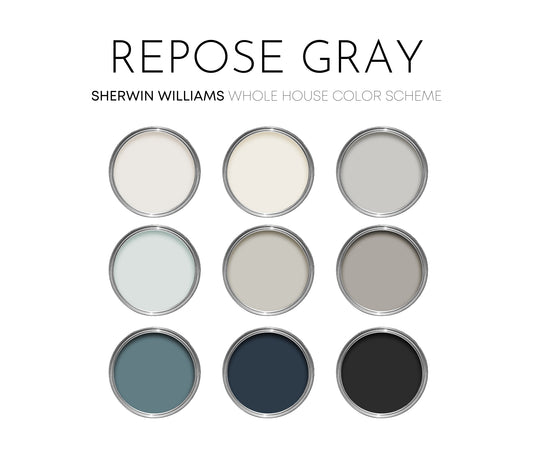 Repose Gray Sherwin Williams Paint Palette, Modern Paint Colors for Home, Repose Gray Compliments, Modern Neutrals, Tricorn Black