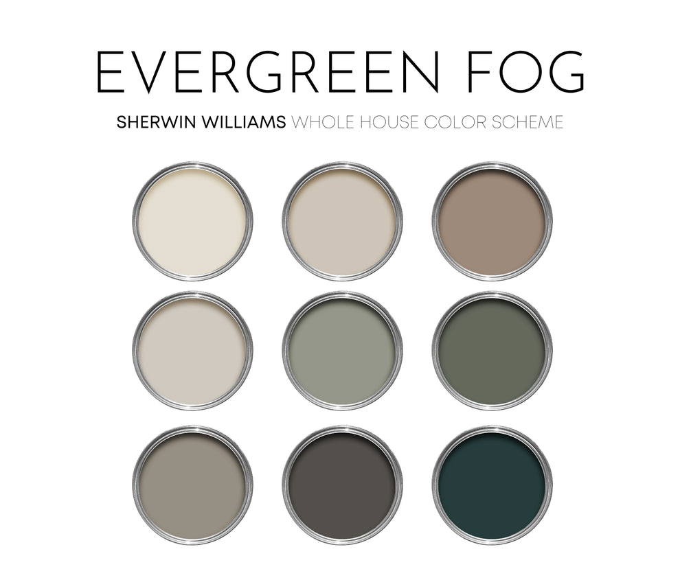 Evergreen Fog Sherwin Williams Paint Palette, Color of the Year Palett ...